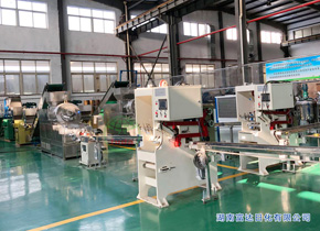 油脂皂化、肥皂成套生產(chǎn)線 FZ-2000